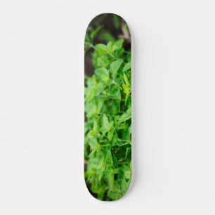 Skateboard feuille