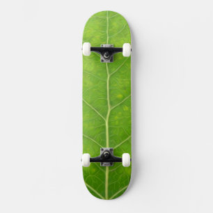Skateboard Feuille d'Aspen vert #11