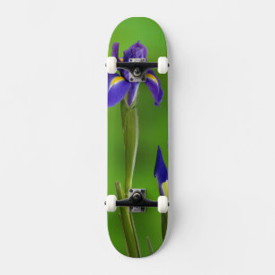 Skateboard Fleurs d'iris