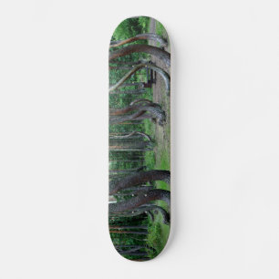 Skateboard Forêt Crochée - Pologne