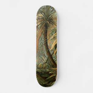 Skateboard Fougères Palmier Antique Botanique Fougères Art