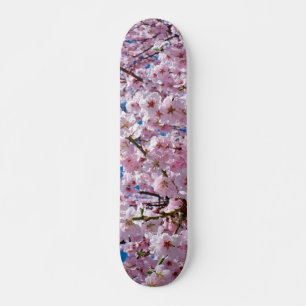 Skateboard für die japanische Kirsche