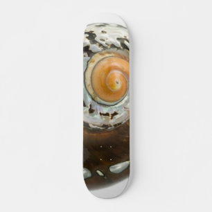 Skateboard für Muschel auf See
