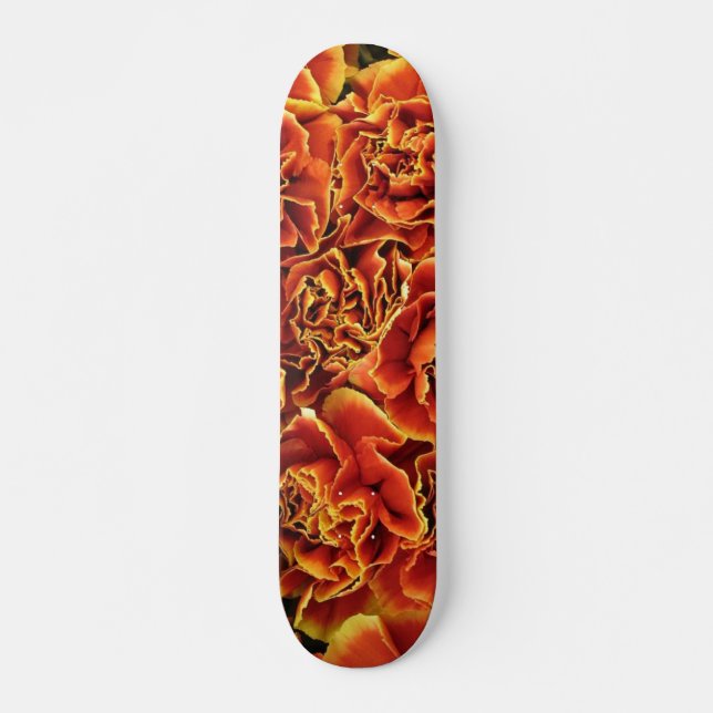 Skateboard für Nelken (Vorne)