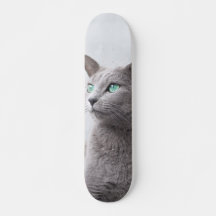 Skateboard Gato de raza azul ruso de ojos verdes