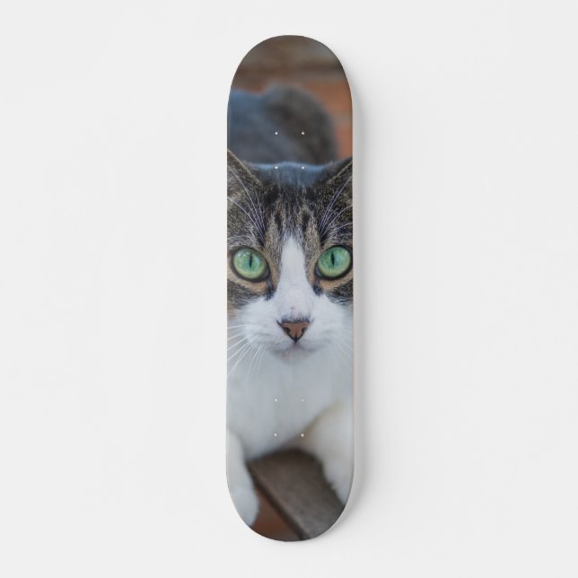 Skateboard Gato gris y blanco observando (Devant)