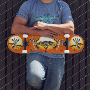 Skateboard Gazelle Antelope africaine animal sauvage