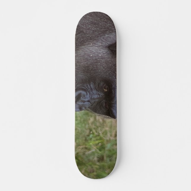 Skateboard Gorilla (Devant)
