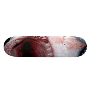 Skateboard Grand