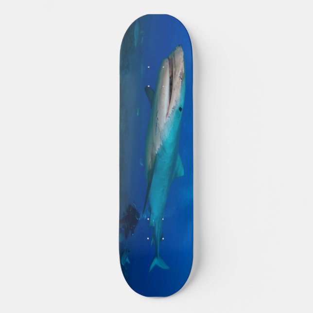 Skateboard Grande planche à roulettes de requins blancs (Recto)