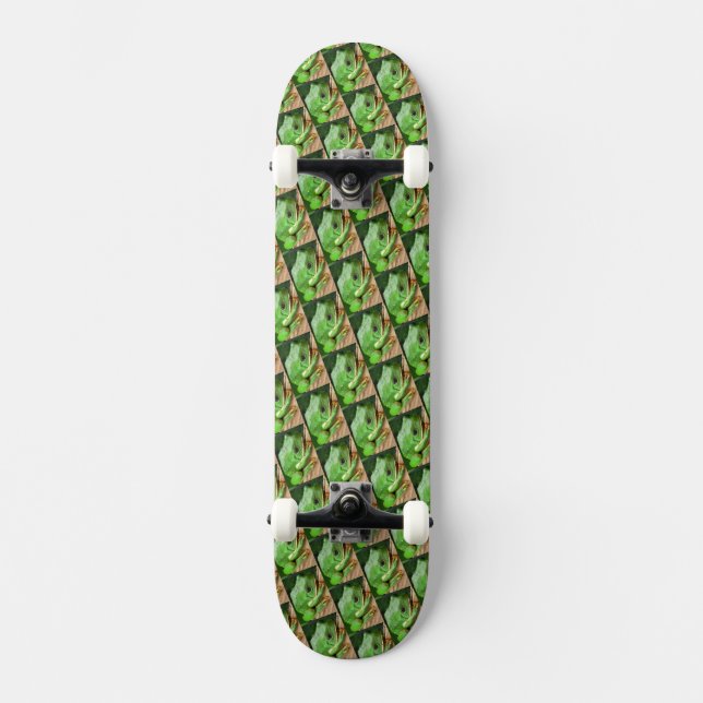 Skateboard Grenouille à arbre vert (Recto)