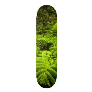 Skateboard Hawaï, Big Island, La végétation tropicale luxu