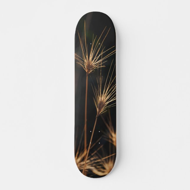 Skateboard Herbe Sauvage À Courte Éclatement Unique (Devant)