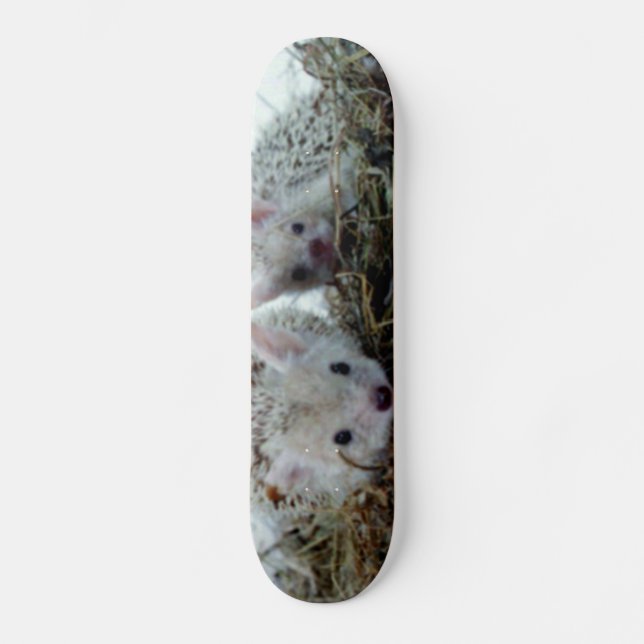 Skateboard Hérissons comme animaux familiers (Recto)