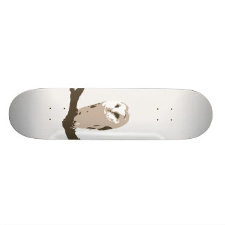 Skateboard Hibou