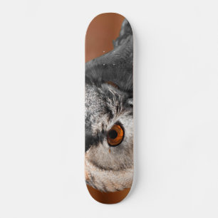 Skateboard Hibou Stare