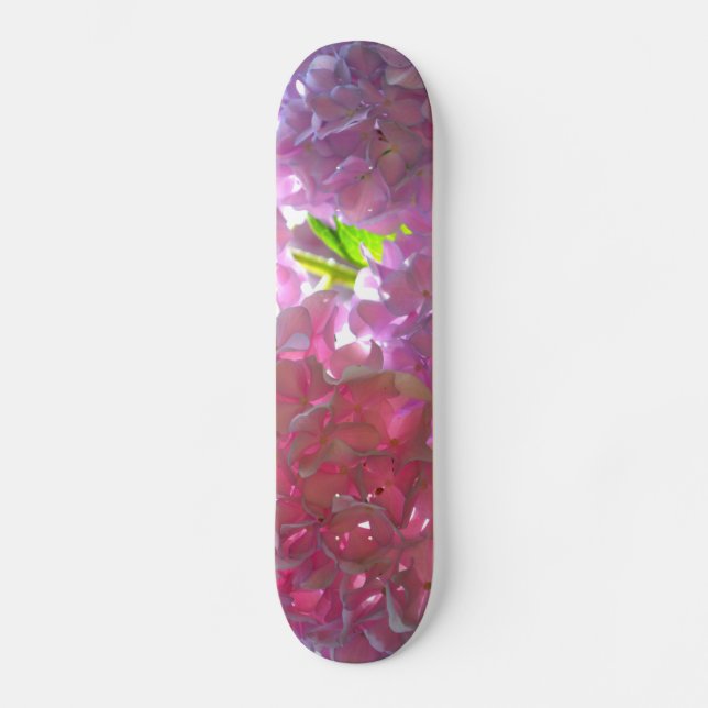 Skateboard Hydrangées roses rayonnantes, fleurs roses (Recto)