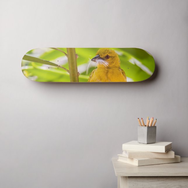 Skateboard Il est temps de construire le nid (Art mural (Horz))