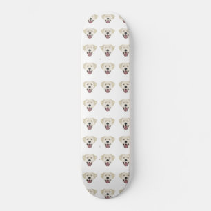 Skateboard Illustration golden labrador retriever with smile