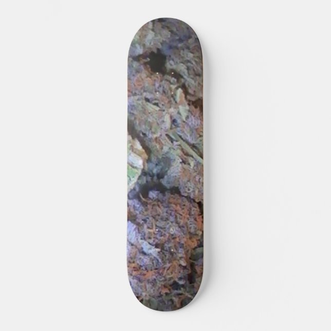 Skateboard Image 005 (Recto)