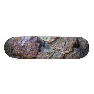 Skateboard Image 005