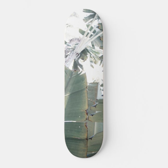 Skateboard Jungle Finesse #1 #tropical #wall #art (Recto)