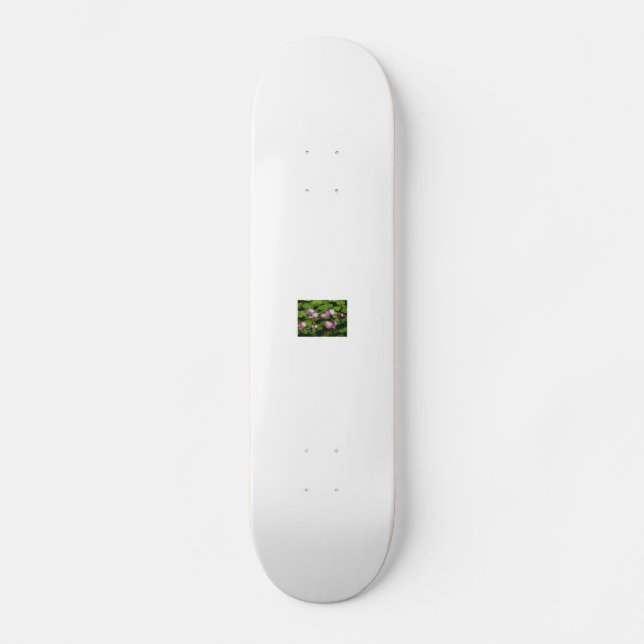 Skateboard kinafex page d'accueil zazzle.com et place du marc (Recto)