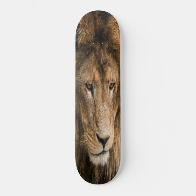 Skateboard kraftvoll gebaut LION (Vorderseite)