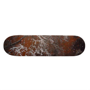 Skateboard La neige a couvert des branches d'arbre contre le