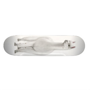 Skateboard La planche à roulettes blanche d'alpaga