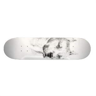 Skateboard La planche à roulettes fatiguée de Pitbull