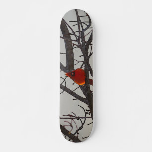 Skateboard Le Cardinal Au Matin