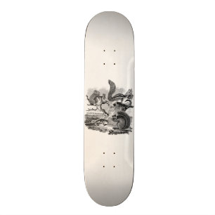 Skateboard le cru de 1800s accumule l'illustration - écureui