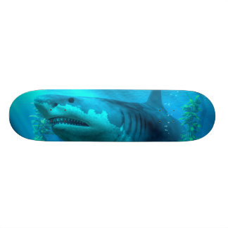 Skateboard Le plus grand requin