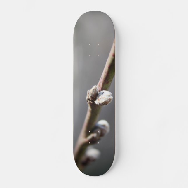 Skateboard Le printemps arrive (Recto)
