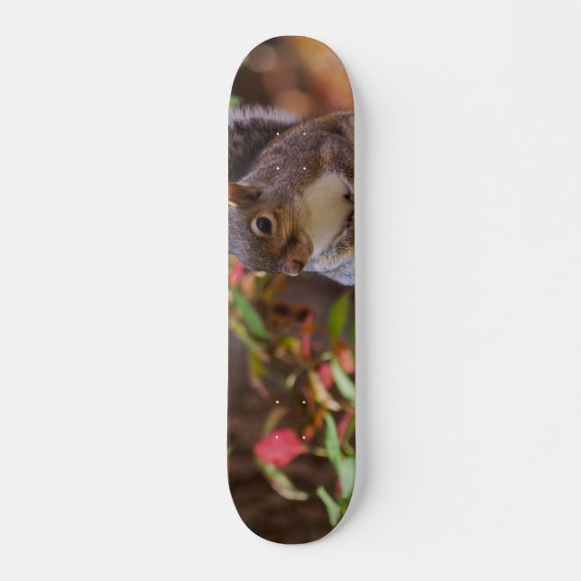Skateboard L'écureuil commence avec patience (Devant)