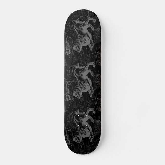 Skateboard Leo Constellation Hevelius 1690 Juillet23 - Août 2 (Recto)