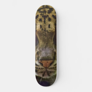 Skateboard Leopard obscurci