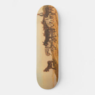 Skateboard Les ânes dans le sud de la France (par Eugène Burn