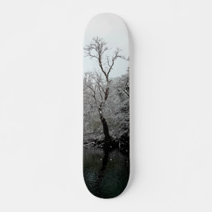 Skateboard Les arbres, à l'eau