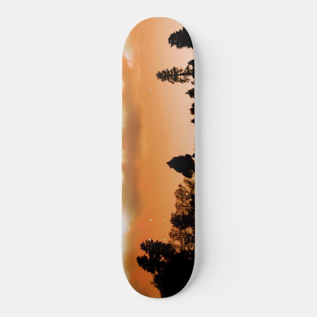Skateboard Les arbres du soleil (Recto)