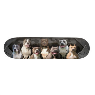 Skateboard Les Untouchables - série de champion de Pitbull