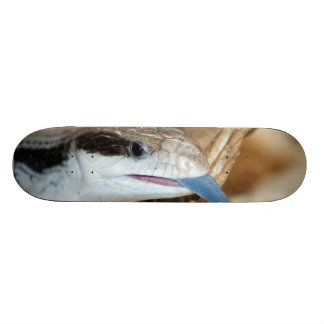 Skateboard Lézard de la fièvre catarrhale ovine