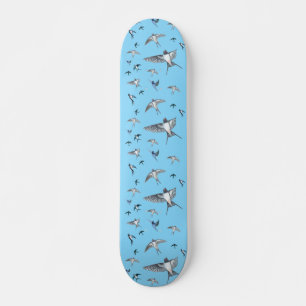 Skateboard L'Illustration De L'Avalière Volante