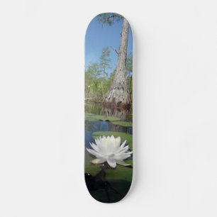 Skateboard Lit d'eau 2