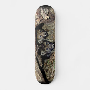 Skateboard Loup de bois sauvage cubes jumeaux à Den