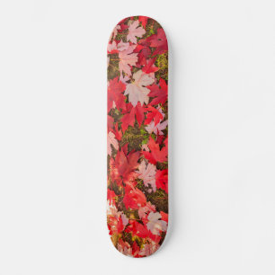 Skateboard magie chromatique de l'automne Planches à roulette