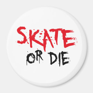 skateboard magnet