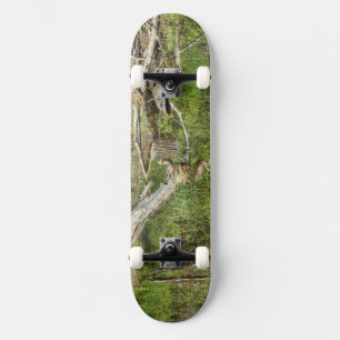 Skateboard Mallard sur Pond