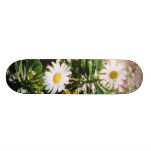 SKATEBOARD MARGUERITE